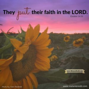 Sometimes it is really hard to have FAITH in God and in His timing & plans for our lives. Here are some Bible verses to bolster and strengthen even the most faint-hearted Christian. It is our prayer that these scriptures will infuse your heart with hope. Why not stop by for a little hope today??
